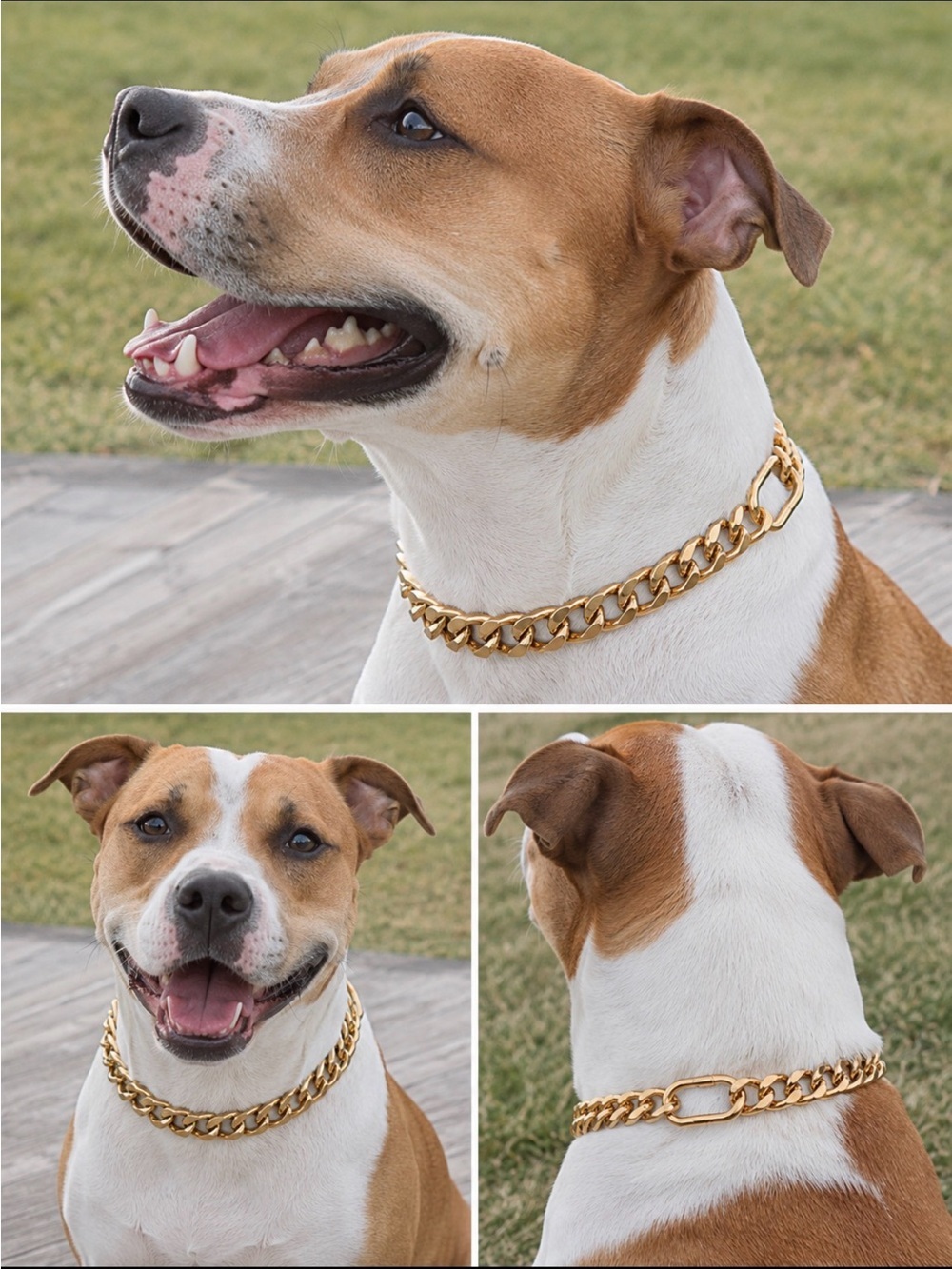 Gold Dog Chain Collar - Stylish Heavy-Link Collar for Dogs